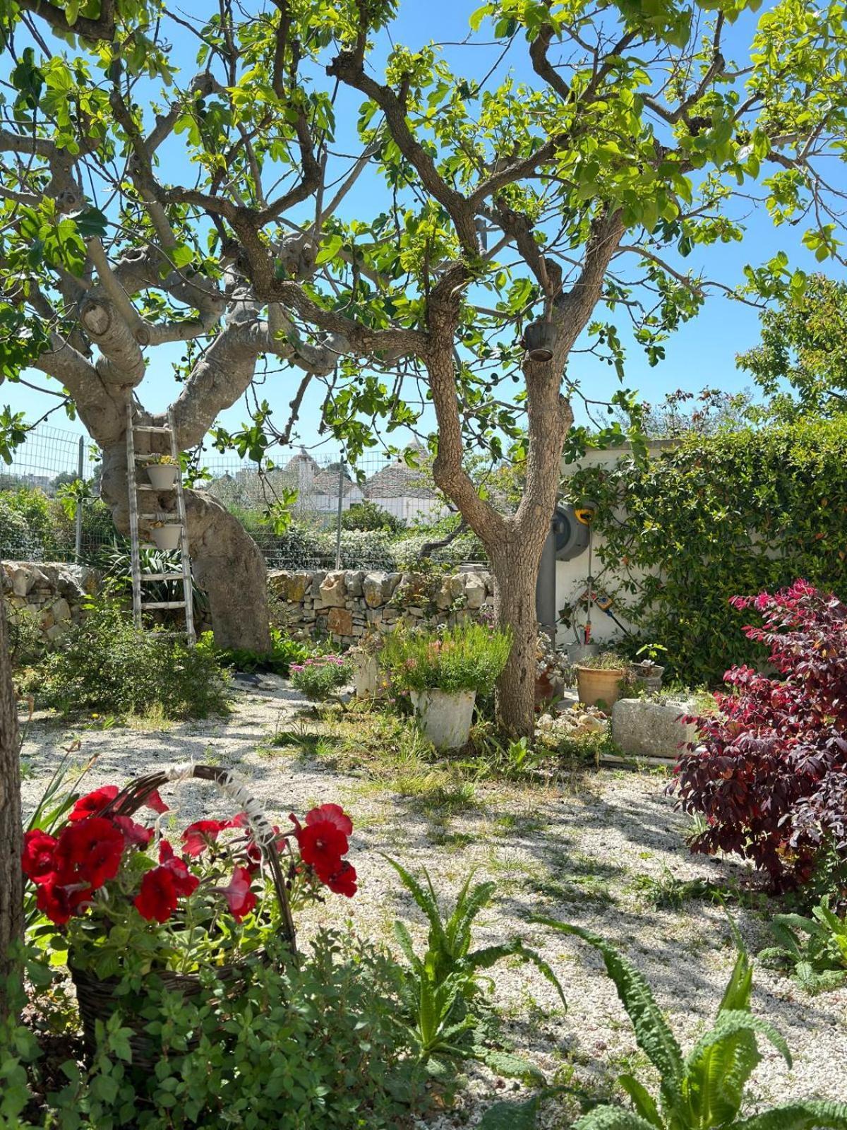 Trulli Resort Aia Piccola Alberobello Bagian luar foto