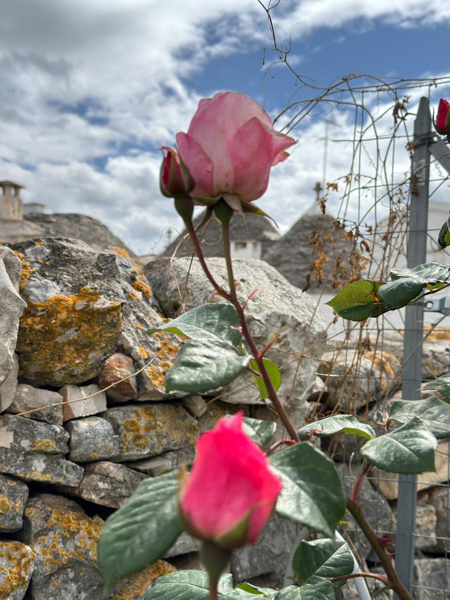 Trulli Resort Aia Piccola Alberobello Bagian luar foto
